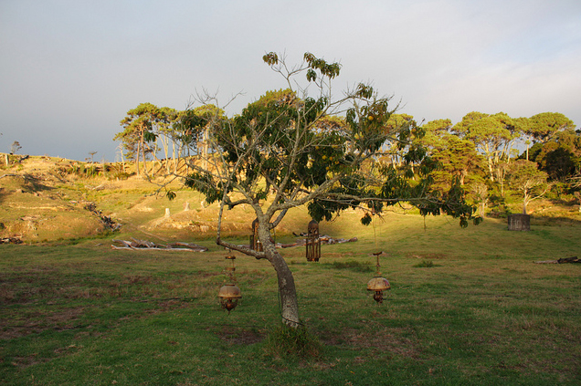 lamps on tree