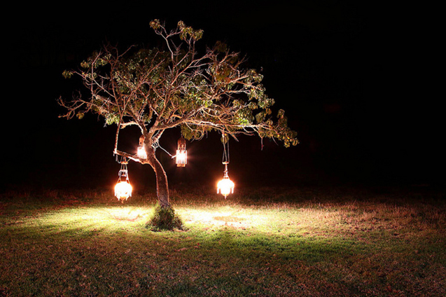 lit tree s